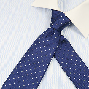 ZN26-110�@�u���[�~�z���C�g